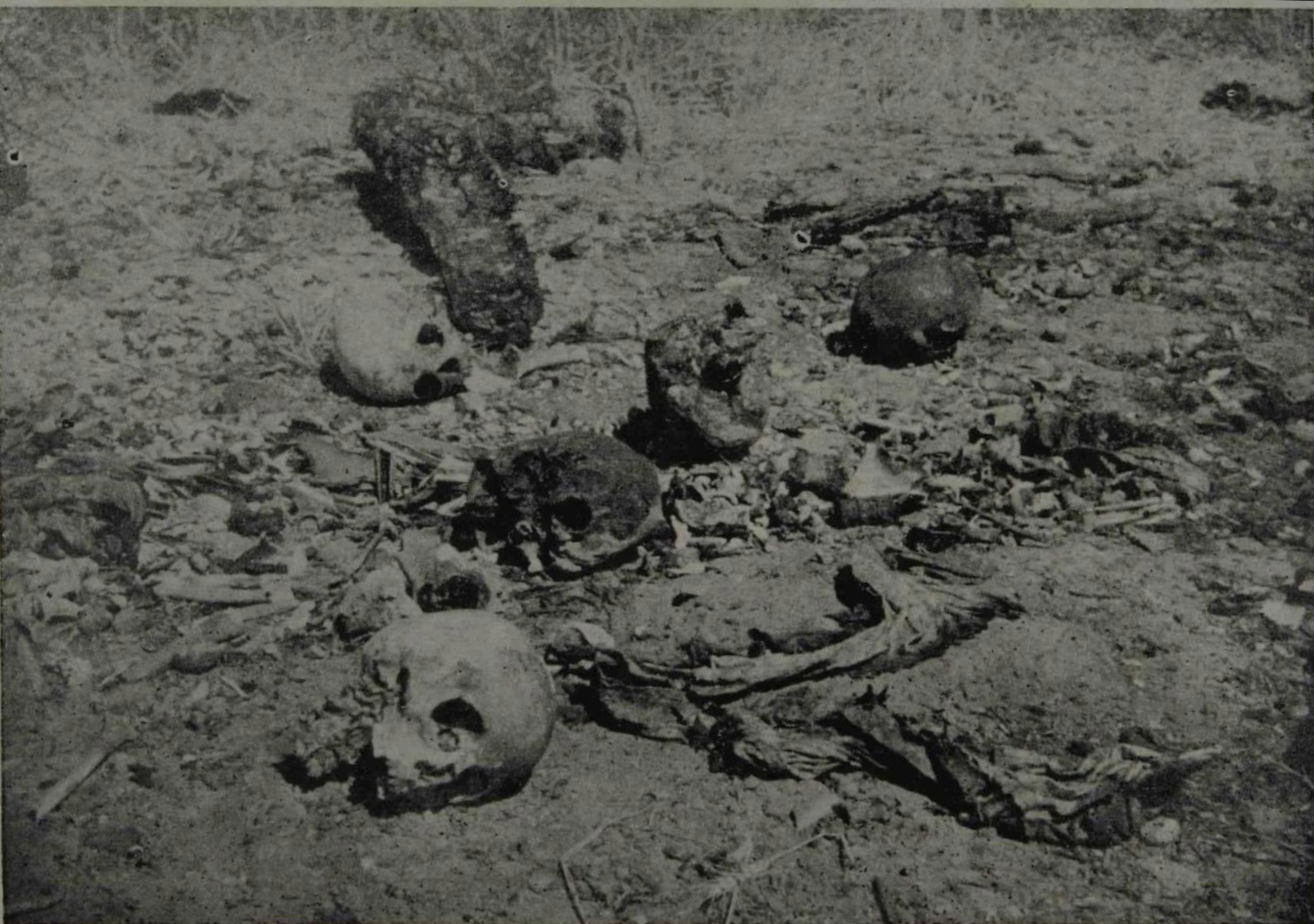 historical photograph, massacre site, human remains, skulls, bones, Vadda Ghalughara, Sikh Genocide, tragedy, aftermath