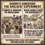 गांधी का स्वीकार: “इसने मुसलमानों को एकजुट और जागृत किया” — प्रयोग का परिणाम (113)